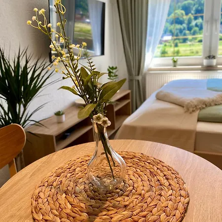 Apartment Elbstuebchen Bad Schandau